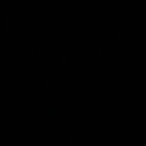 Meet your Posher, Arleen